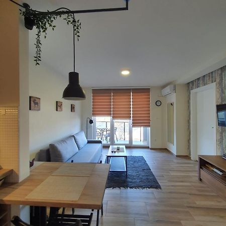 Apartman Alisa Veliko Gradište Zewnętrze zdjęcie